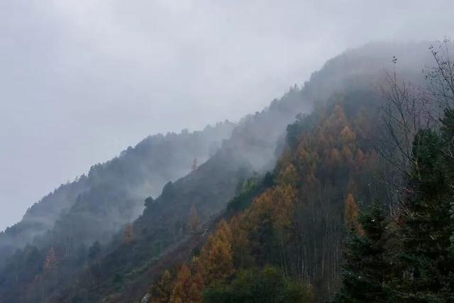 五台山的秋天，太治愈了！