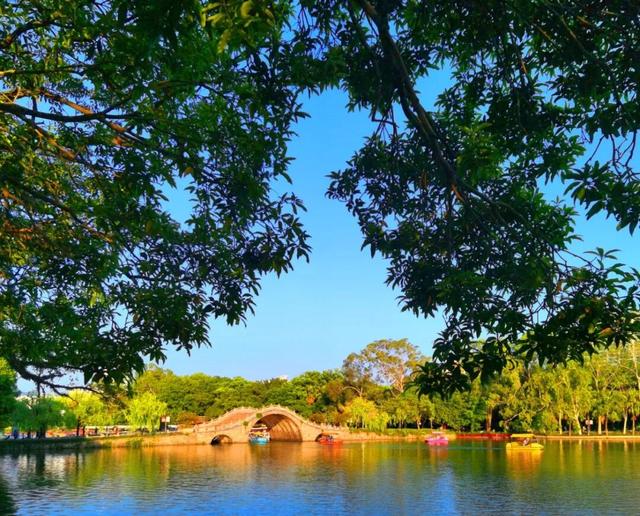 除了看菊花展，福州西湖公园还能怎么逛？