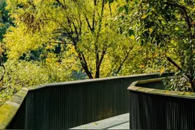 饱览西山胜景！石景山西山绿道（石景山段）开放试运行图片