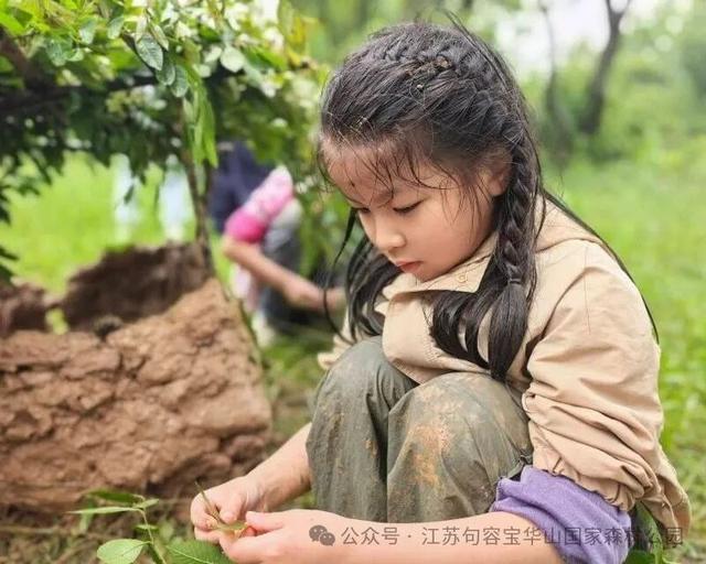 宝华山科普研学招募！速报名