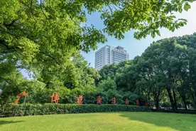 这天，双目失明的她独自一人在瑞金医院做完了手术图片