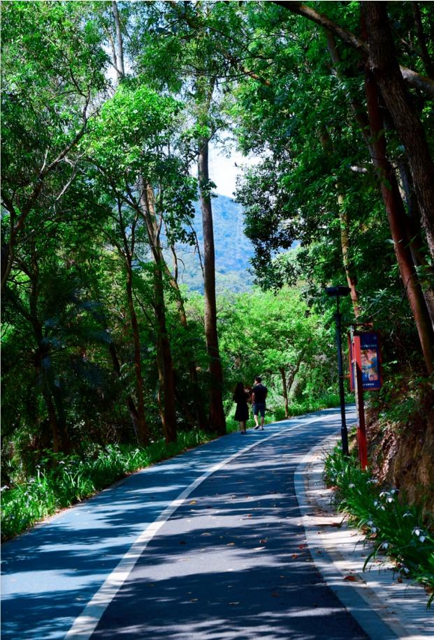 山的那边真的是海吗？为了探求真相，我决定周末就出发……