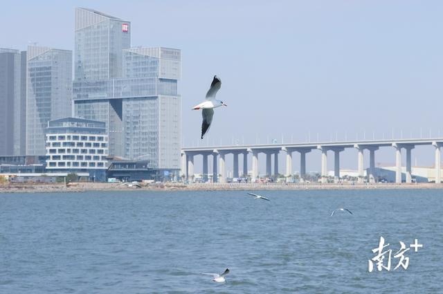 深读｜中山滨海旅游如何“热”起来？