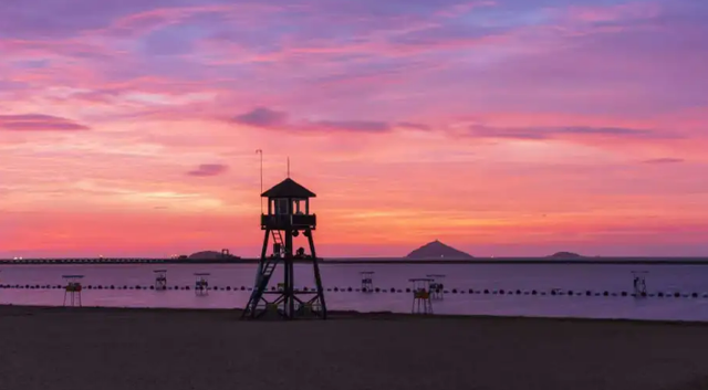 多景点全年畅玩！上海湾区滨海旅游年票限时特惠…