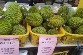 榴莲南北都能种？专家：别上当了！图片