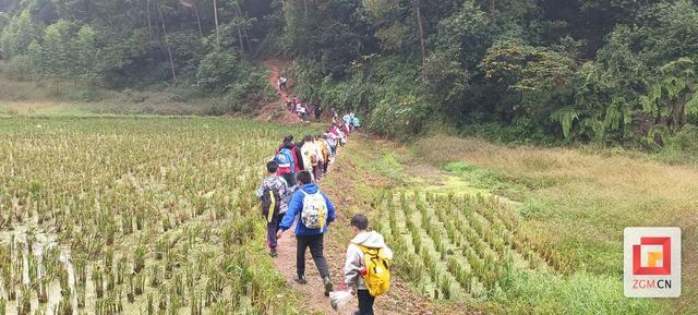 探秘森林，挑战自我！高峰街道燊海社区“小小生存家”自然探索之旅圆满落幕