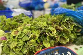 春日头一波来了！本地苋菜抢“鲜”上市图片