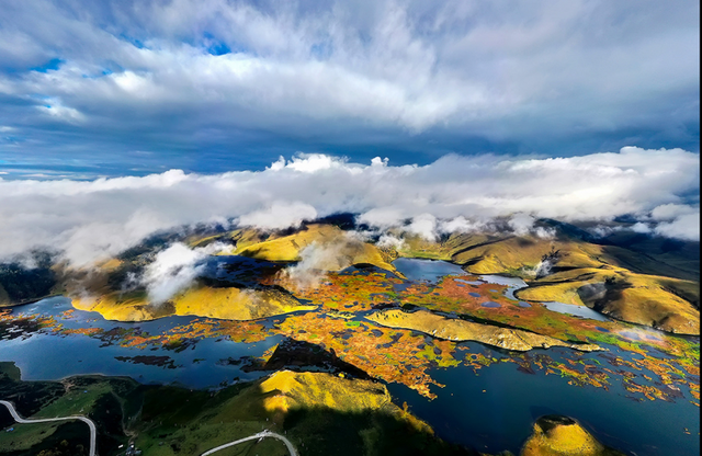 冬季暖阳 凉山不凉 | 彩林与暖阳的双向奔赴