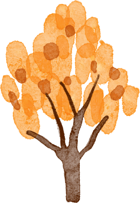 层林尽染赏秋时！宝山11月文旅活动清单，超多活动等你来打卡