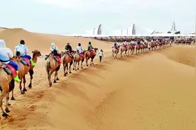 殷殷手足情，风景满目新——“铸牢共同体中华一家亲”主题调研活动走进宁夏图片