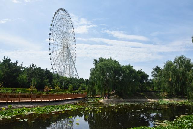 组图丨植物园里好清凉