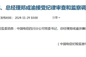 郑成渝，被查图片