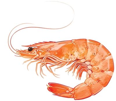 这样吃海鲜  好吃又安全