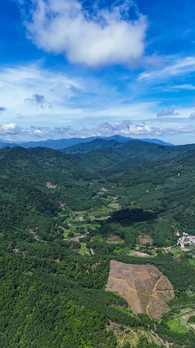 图观白沙 | 白沙山城的绿意秘境