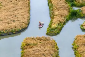 菜花开尽，铺展全域旅游秘境图片