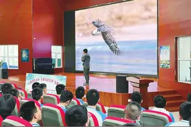 爱鸟活动走进校园图片