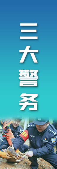 本周六，衢州有演唱会！出行指南看这里→