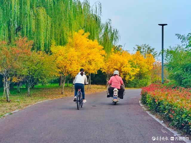 沂河岸边秋景美，抬眸尽是好风光