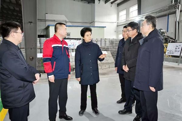 梁惠玲在七台河市宣讲党的二十届四中全会精神并调研时强调 培育新动能新增长点 促进经济结构优化升级