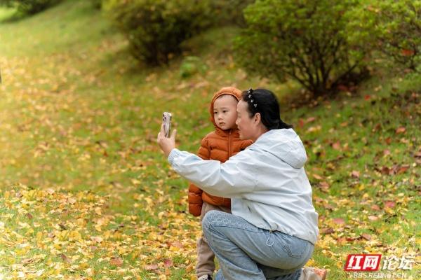 岁暖时刻丨湘府公园银杏季：看叶、玩耍、晒太阳，长沙人的欢乐场