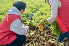 田里搭起直播间 助农团“云端”推广“应城味道”图片