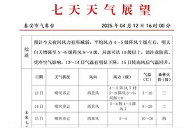 今夜风力有所减弱，13日局部可达10级以上，泰山继续闭园！图片