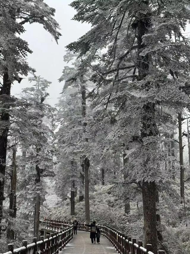 瓦屋山百万游客倒计时！“天选锦鲤”即将诞生，解锁独一份的重磅惊喜！这份天降好运会是你的吗？！