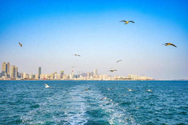 凭交通票根，解锁冬游青岛超值专属优惠套餐！