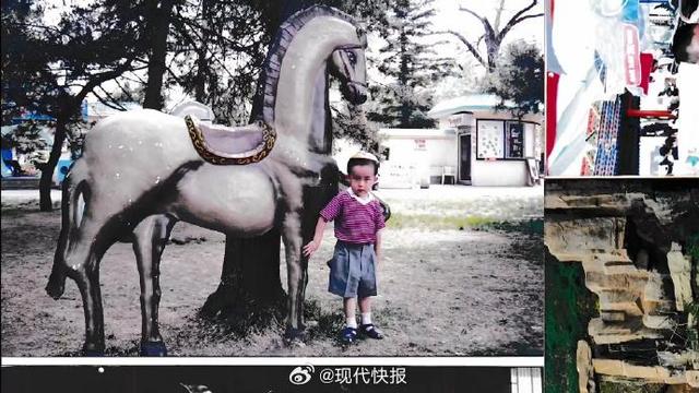 好会凹造型！王楚钦多张童年照曝光