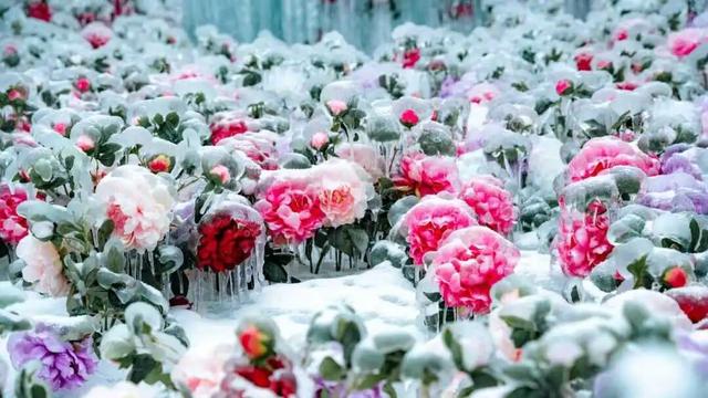 这个冬天，别再“猫冬”啦！300米超长滑道，来这开启嬉冰赏景的雪上之旅