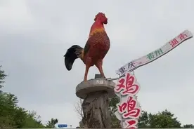 紫牛热点∣农家乐“鸡鸣三省”火爆网络，最多时一天近千人扫码听鸡叫图片