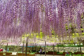 北京发布首个“公园治愈指南”，推荐30处“休闲秘境”图片