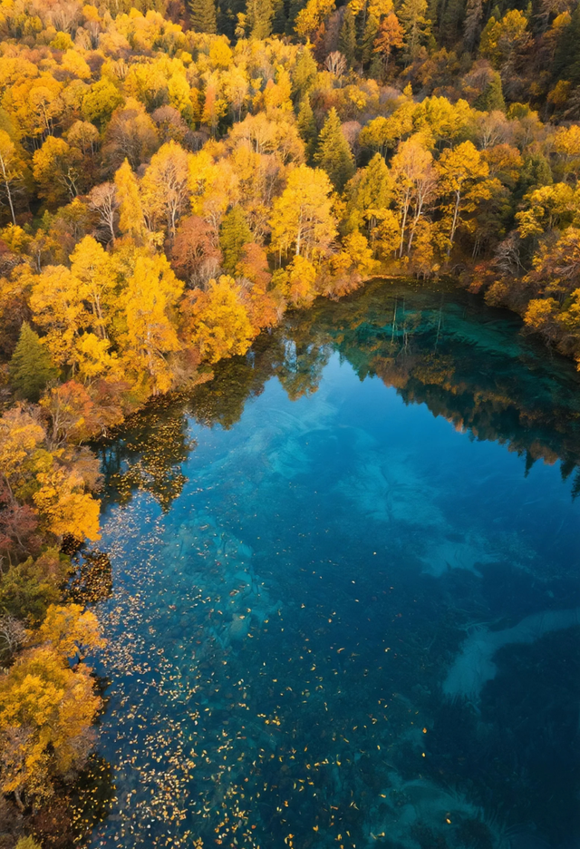 劝你别秋天去九寨沟，因为美得太“犯规”，会不想回来！