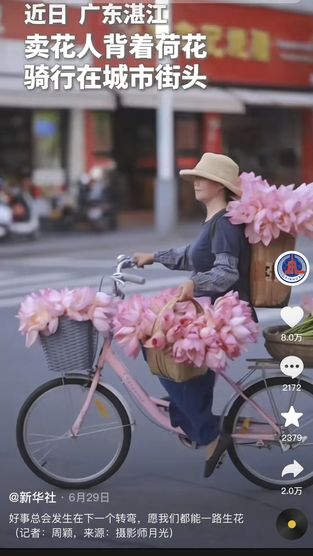 百万粉丝网红齐聚武江！打卡张颂文同款美景，骑车送花传递浪漫