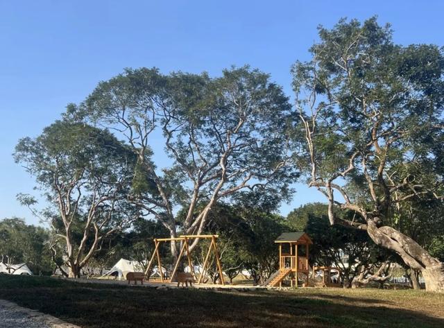 在增城，邂逅一场慢旅行！