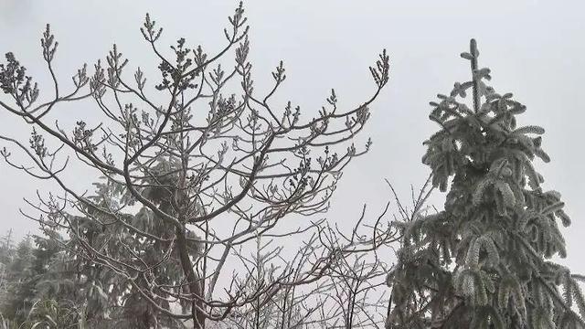 桂林全州变身冰雪童话世界，美不胜收→