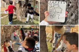 上海一幼儿园枯树奇迹般“复活”！果实满枝的背后是他们的守护图片