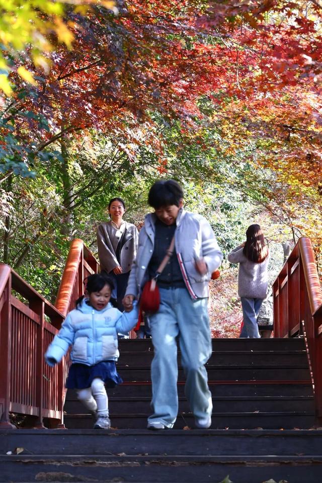 中大路 “红” 了！本周 C 位遛弯地预定！