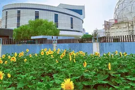 镜头下的北京科学中心｜向日葵图片