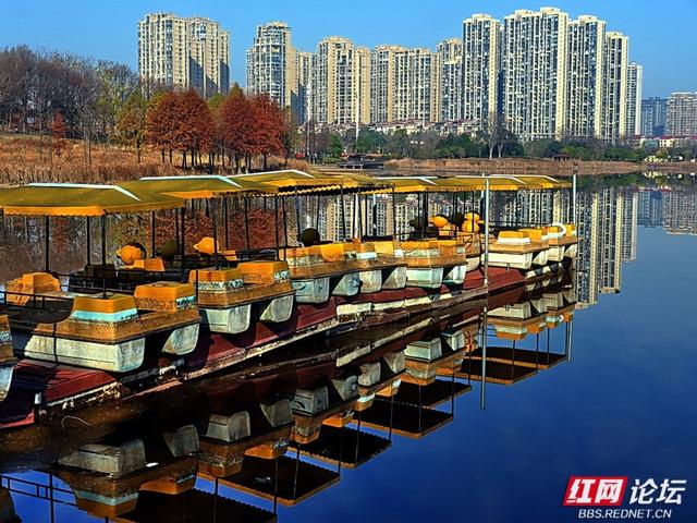 漫步神农湖：在城市的喧嚣边缘，寻一方安宁