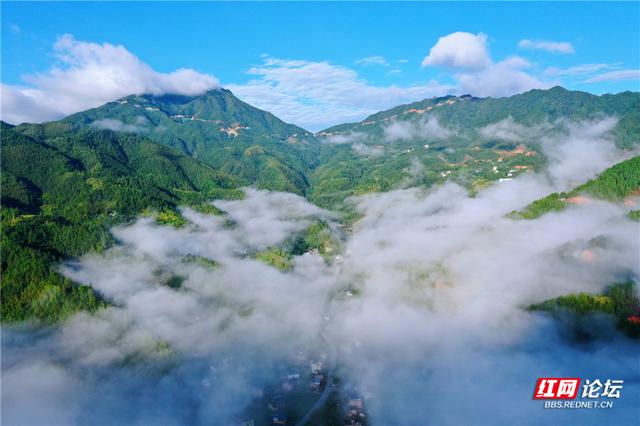 【每日一图@湖南】青娥山晨雾漫卷，定格天地间水墨丹青