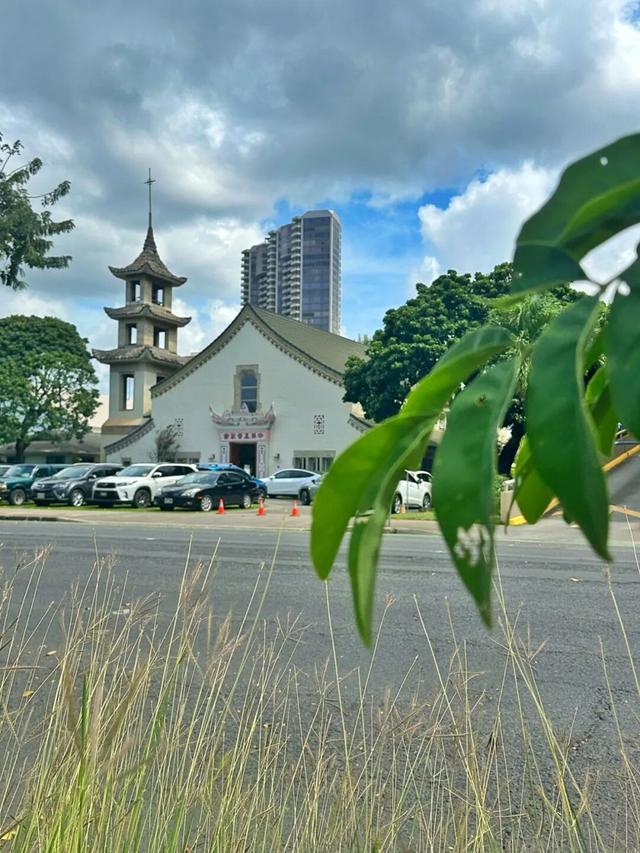 在夏威夷偶遇中国痕迹，这波发现也太惊喜了！