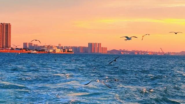 乘船看海，直播抢好价！8月16日抖音补贴助力海上游船狂欢！