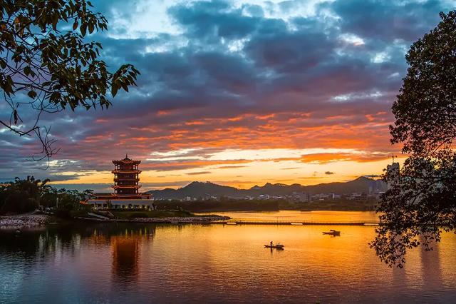 一口金桔甜，解锁融安初冬的N种玩法