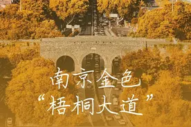 南京高校有点懵，这究竟是谁家的梧桐大道？图片