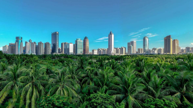 “大美故乡”第10站丨海南海口