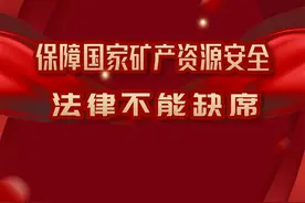 保障国家矿产资源安全 法律不能缺席图片