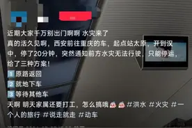 西安往重庆方向动车因暴雨临停？12306：兰州、成都、阆中等方向部分列车停运图片