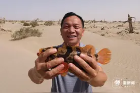 新疆荒漠游来东海“虾兵蟹将” 浙江科技援疆结硕果图片