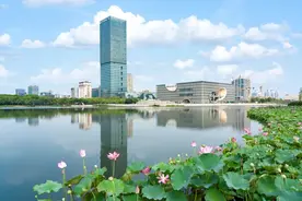 探索新城、寻觅乡村！在马陆来一场说走就走的city walk图片